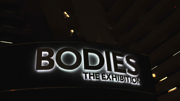 Bodies Exhibit