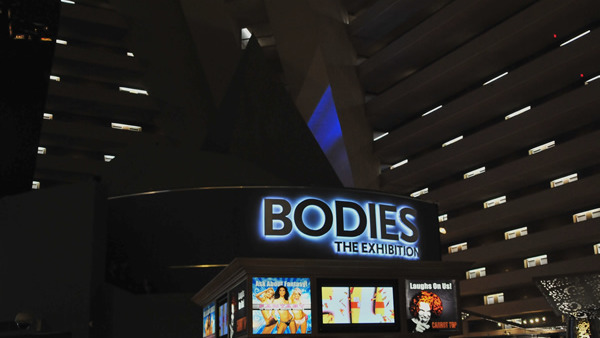 Bodies Exhibit