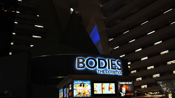 Bodies Exhibit